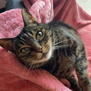 Meet your Posher, Laur